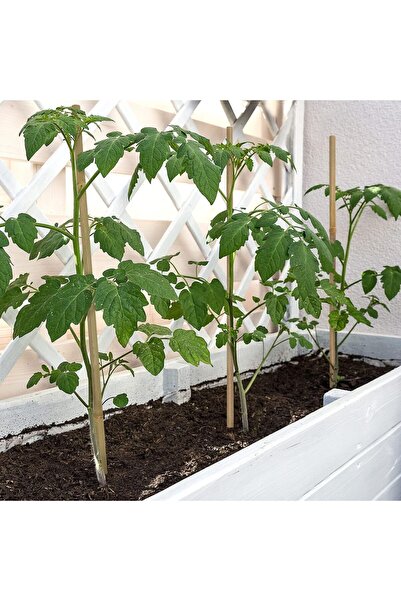 genric أعمدة نباتات من الخيزران الطبيعي - 10 قطع، 120 سم، عصي دعم للحديقة للا...