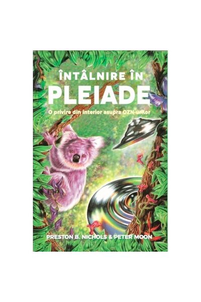 Daksha Meeting in the Pleiades: An Inside Look at UFOs