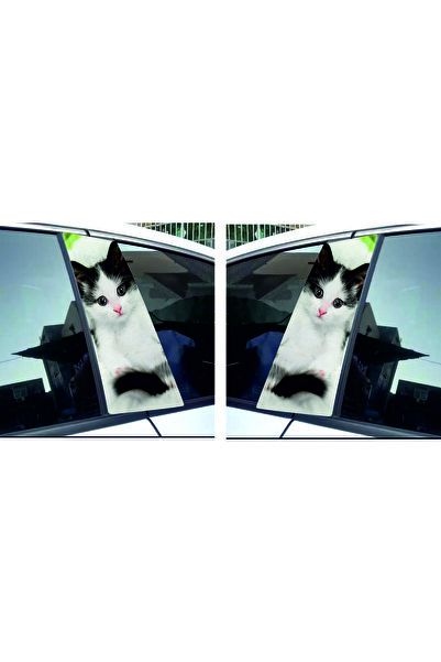 Birim Matbaa Cat Looking at a Column Auto Sticker (45X25 cm)