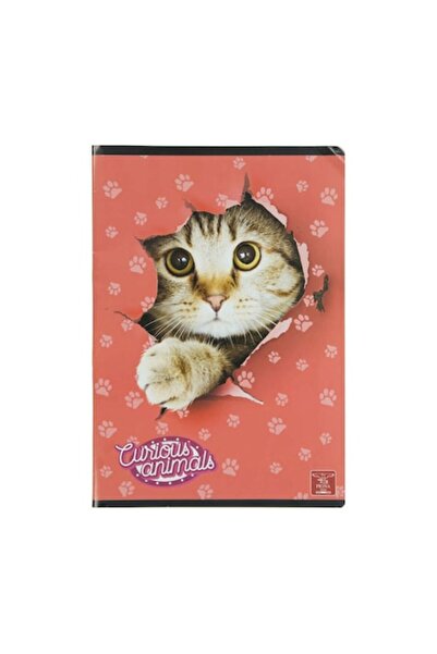 PIGNA Caiet clasic pentru studenți A4, 48 de pagini, matematică