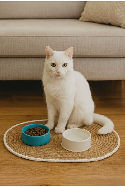HLM TEKSTİL Kedi Köpek Mama Kabı Altlığı, Beslenme Paspası Oval 30x50
