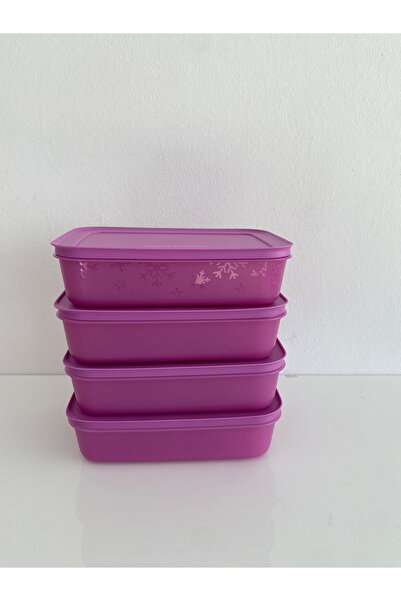 Tupperware Alaska saklama kabı 4lü