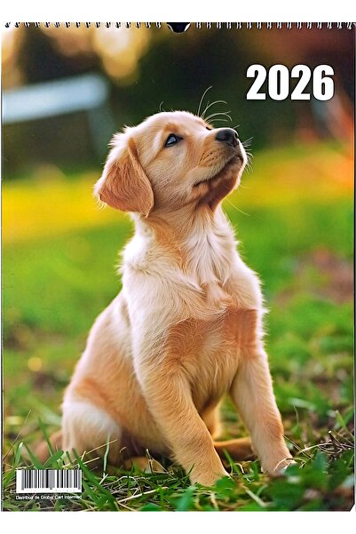 Librarus Calendar 2026, A3 Format, Dogs Pattern