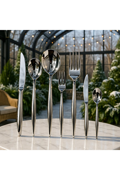 Davet Piraye Stainless Steel 6-Person 42-Piece Cutlery Set with Box - Stainless Steel Set