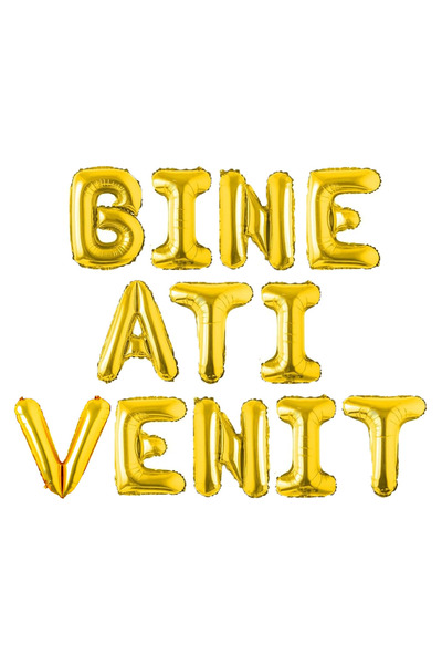 Teno Set de 12 baloane de bun venit aurii