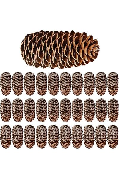 The Bros 30 قطعة من زينة مخاريط الصنوبر الطبيعية الكبيرة (6-8 سم)