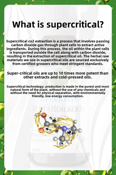 Gökçek Şifa Phosphatidylcholine Supercritical Oil 50 ml (Phosphatidylcholi̇ne Supercri̇ti̇cal Mi̇x Oi̇l)
