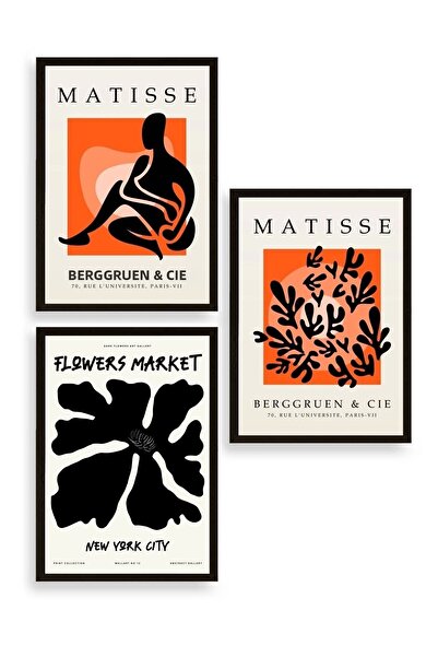CT STONES Matisse Triple Wooden Framed Painting