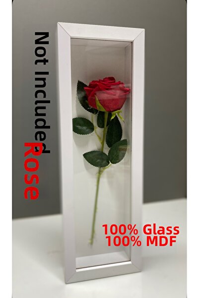 Sevcan sanat atölyesi 13X40X3 Glass Rose Box Valentine's Day Gift Memory Frame
