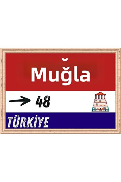 Özcan Tasarım Pictură Muğla - Pictură Retro