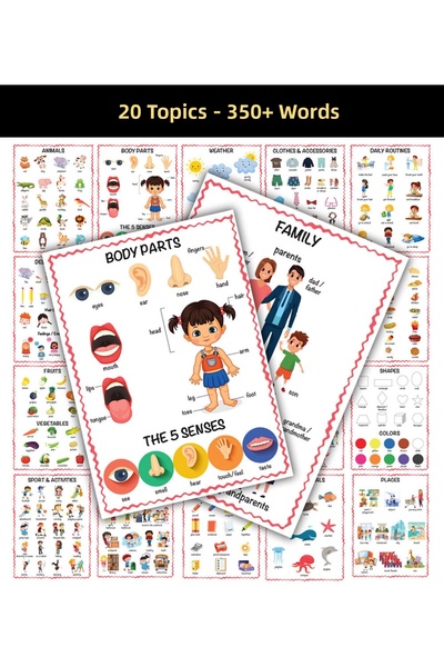 SinaTicaret My First Words English Turkish 350+ Words 20 Subjects Educational...
