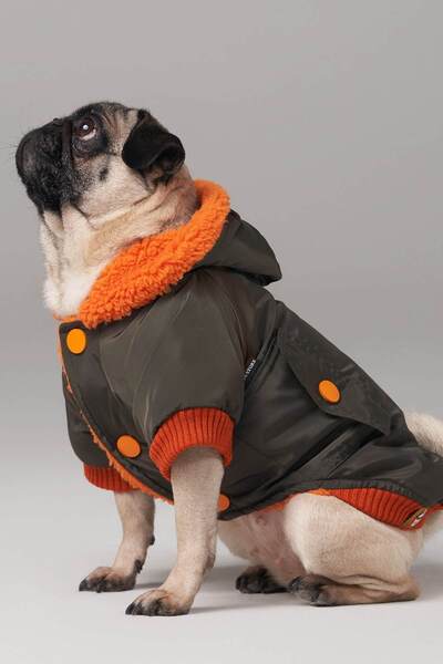 salya store Forest Khaki Waterproof Small Breed Dog Coat, Winter Dog Clothing