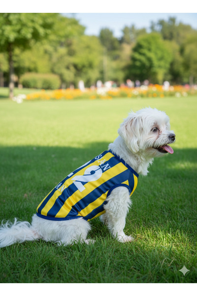 PuluPulu 🐱🐈 İSİM ve RAKAM Yazilabilen Kedi ve köpek taraftar forması