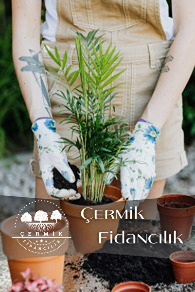 ÇERMİK FİDANCILIK Organik Mineralli Gübreli Bitki Çiçek Torf Bitki Ve Saksı T...