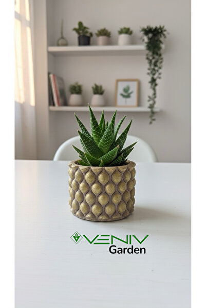 VENİV Beton Saksı El Yapımı Nostalji Eskitme - Gold Detaylı - 5 cm No:VG1