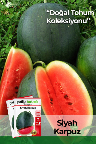 Patika Botanik 30 Adet Siyah/Kara Karpuz Tohumu