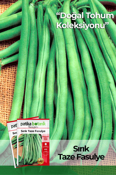 Patika Botanik 50 Adet Sırık Fasülye Tohumu