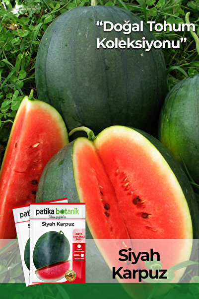 Patika Botanik 25 Adet Ata Tohumu Yerli Siyah/Kara Karpuz