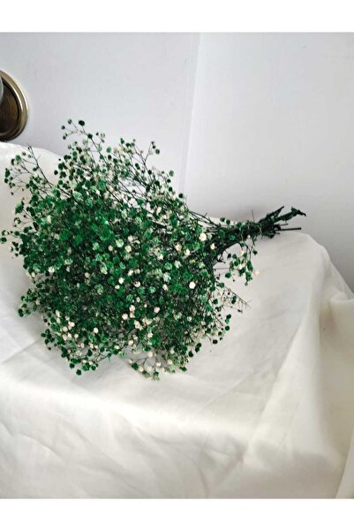 Birlik Cipso Çiçeği Şoklanmış Yeşil