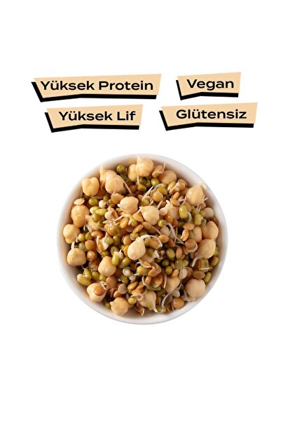THE GOOD WİLD Filizlendirilmiş Fermante Salata Miks Karma Paket | Yemeye Hazır Glutensiz Ürün | Vegan | 3 x 300 Gr
