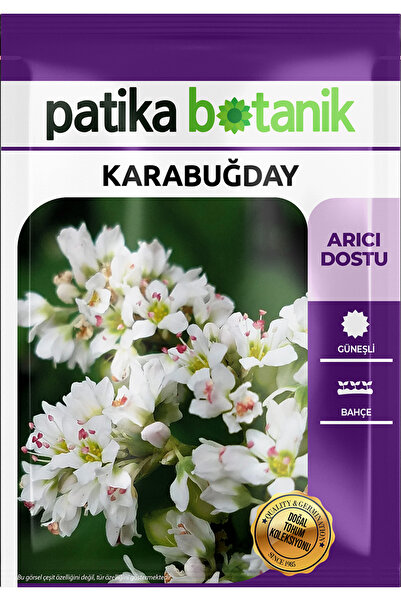 Patika Botanik 100 Adet Karabuğday Tohumu