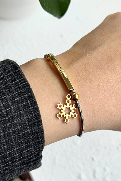 Leo'Stone Exclusive Series Gold Snowflake Model Double Color Women's Steel Br...