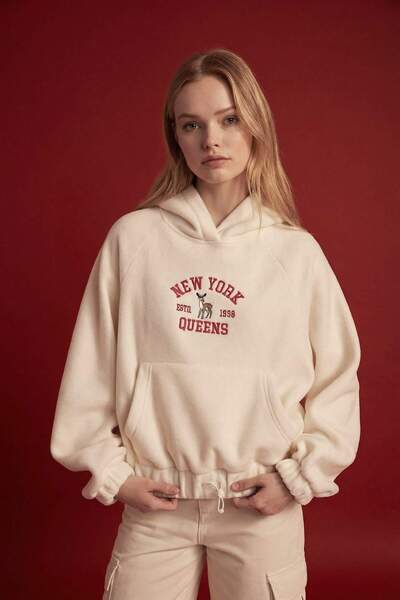 DeFacto Loose Fit Kapüşonlu Kanguru Cepli Polar Sweatshirt C8197AX24WN