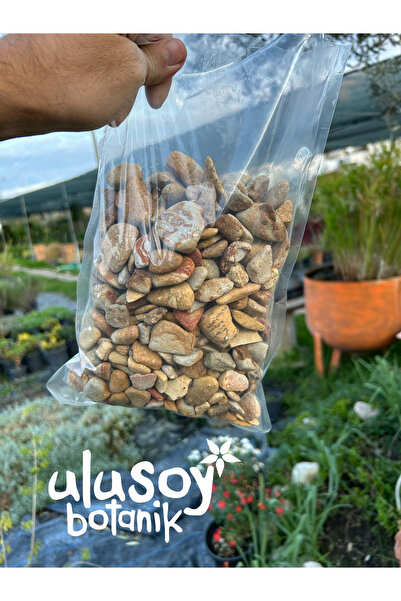 Ulusoy Botanik Sarı Çizgili Dolomit Taş / Sarı Gökkuşağı Dekoratif Dolomit Ta...