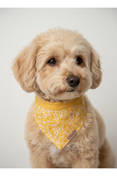 Patiset Köpek Bandanası Sarı-Minik Papatya Desenli Köpek Fuları,Pet Aksesuar,...