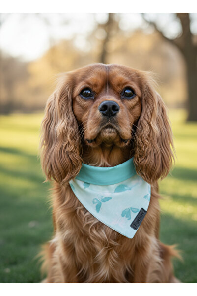 Patiset Köpek Bandanası Turkuaz-Kelebek Desenli Köpek Fuları,Pet Aksesuar,Köp...