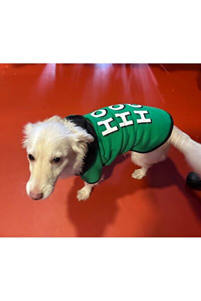 Alphadog Hohoho Green Fleece Small Breed Dog Sweatshirt