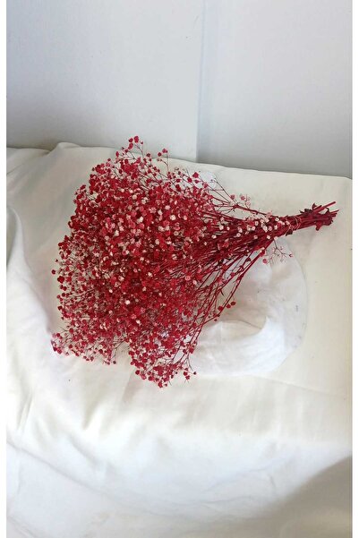 Birlik Cipso Çiçeği Şoklanmış Kırmızı