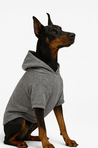 Yumuşak Tüylü Patiler Cat-Dog Outfit Gray Hoodie - Large Breed