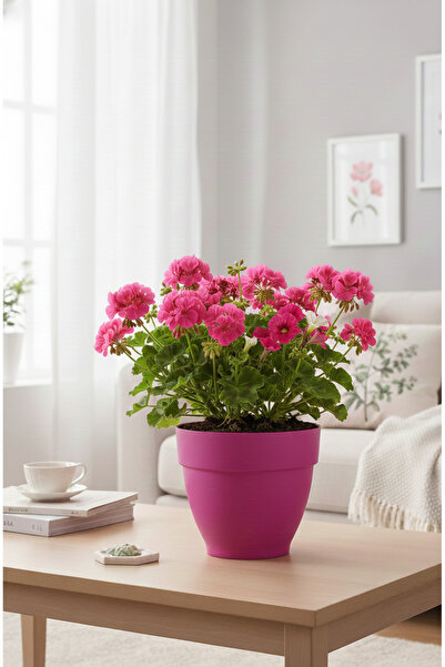 becmarking Renkli Saksı 25cm