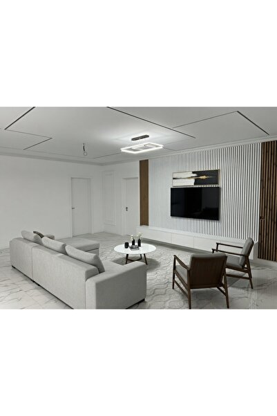OEM RIFLAJ Panou acustic decorativ LDA PREMIUM cu lamele din MDF, stejar regal, 260x40 cm