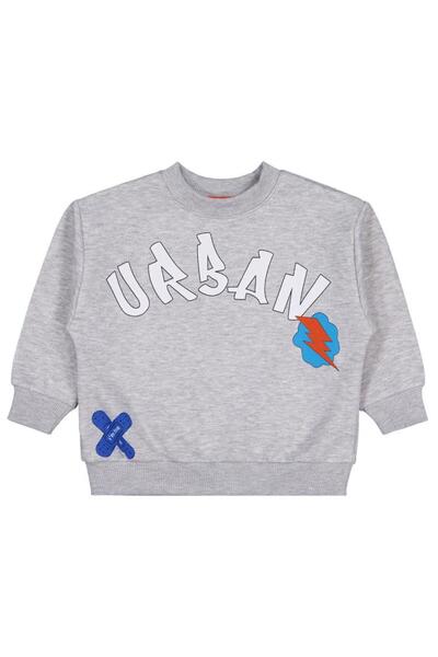 Civil Boys Urban Printed 2-5 Years Old Sweatshirt - Gray 3-4 Years Old