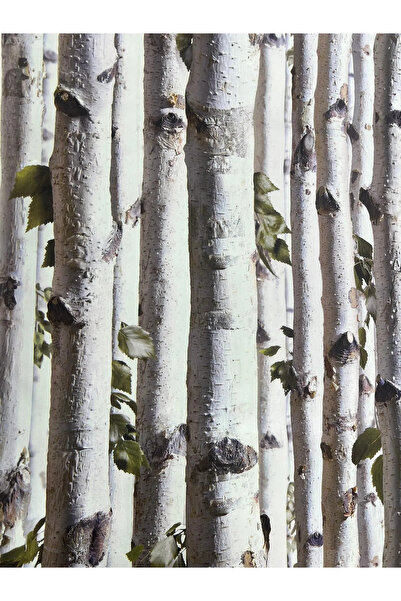 Ayzun Yapraklı Ağaç Desen Duvar Kağıdı 78511