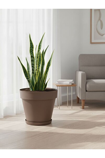 Bliss 10 lt Mocha Renk Tabaklı Izgaralı Dekoratif Plastik Yalı Saksı