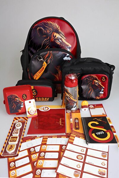 Galatasaray Full Stationery Set with Dekomus License, Small Size 32 cm Kindergarten Bag, 500 ml Water Bottle V