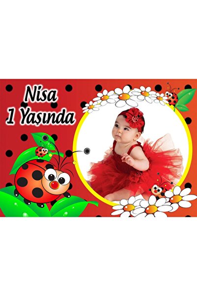 Sunligo Uğur Böceği Doğum Günü Magnet 16 Adet