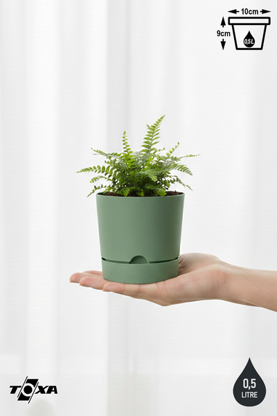 ToXA 0.5 Litre Yeşil Begonya Saksı Küçük Boy Tabaklı Dekoratif Mat Plastik Saksı