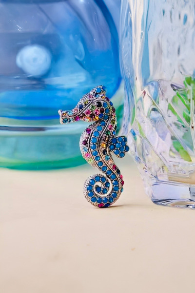 model aksesuar Renkli Denizatı Broş