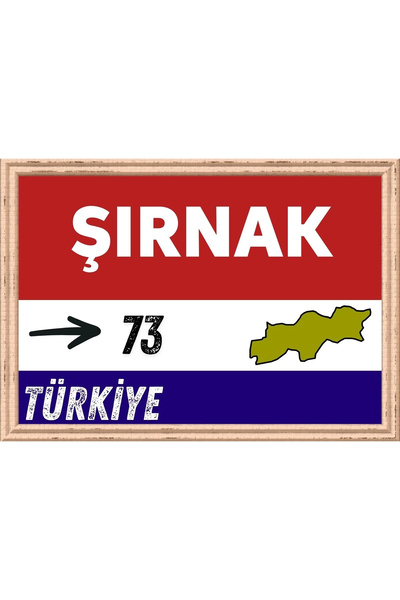 Özcan Tasarım Pictură Şırnak - Pictură Retro