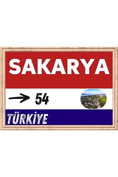 Özcan Tasarım Sakarya Slikarstvo - Retro Slikarstvo