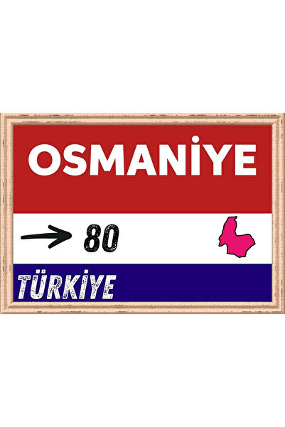 Özcan Tasarım Pictură Osmaniye - Pictură retro