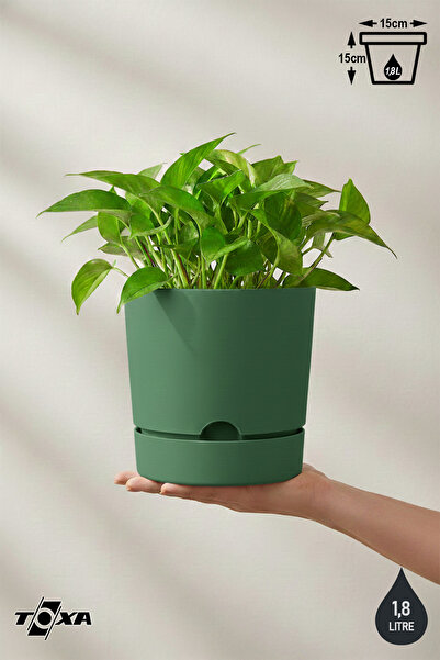ToXA 1.8 Litre Yeşil Begonya Saksı Orta Boy Tabaklı Dekoratif Mat Plastik Saksı
