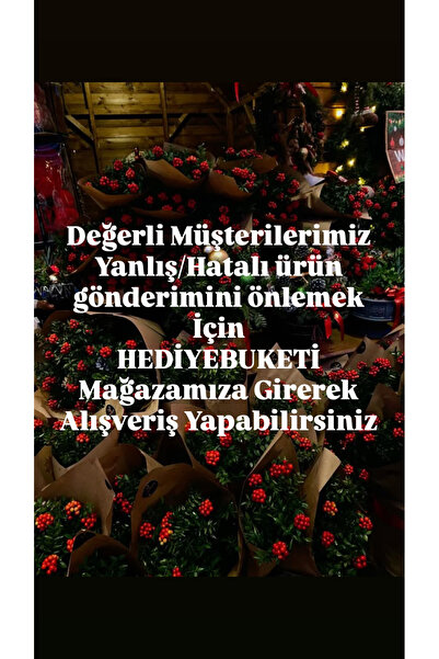 Dizayn Canlı Kokina Şans Bitkisi Yılbaşı Çiçeği Sevgiliye Hediye