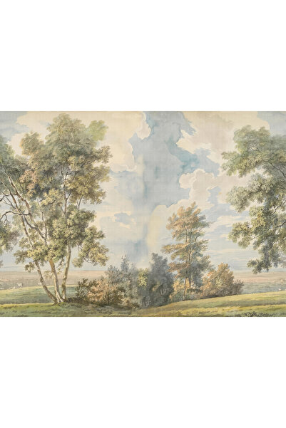 Arterior Wallpaper Vadide ağaçlar ve gökyüzü poster duvar kağıdı