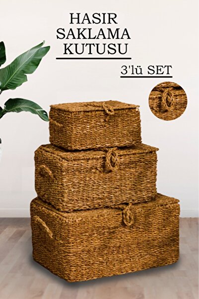 naturelove 3'lü Kapaklı Hasır Sepet Saklama Kutusu Seti – Çok Amaçlı Sepet Ba...