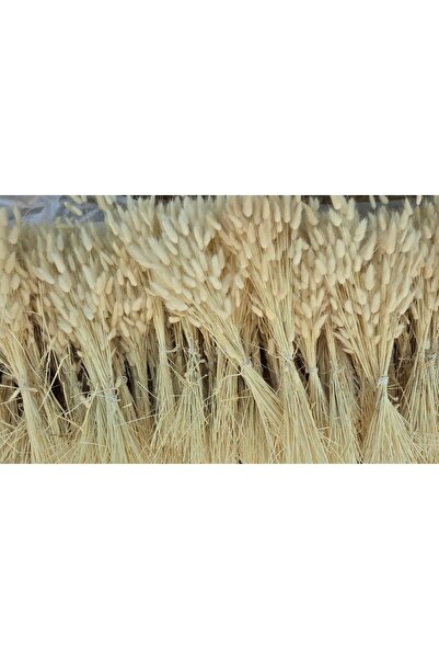 EMG DEKOR Yerli Pamuk Otu Çiçek Buketi